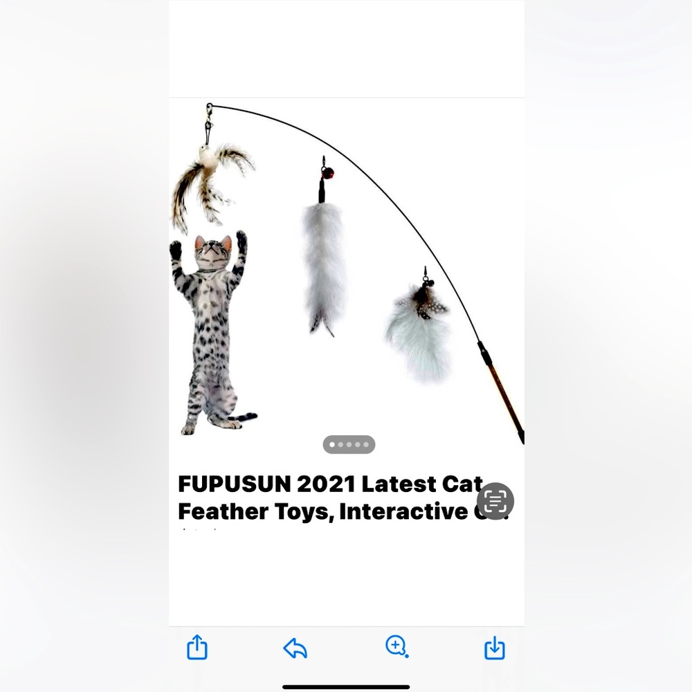 Cat toy